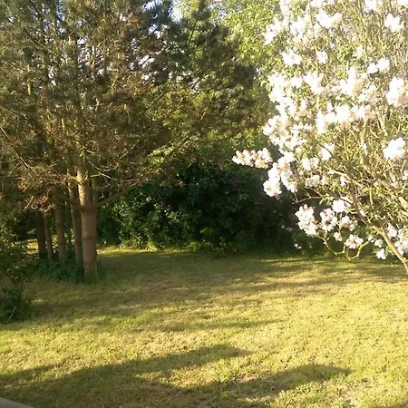 Poolvilla 7 Bedrooms, 3 Bathrooms Marstal