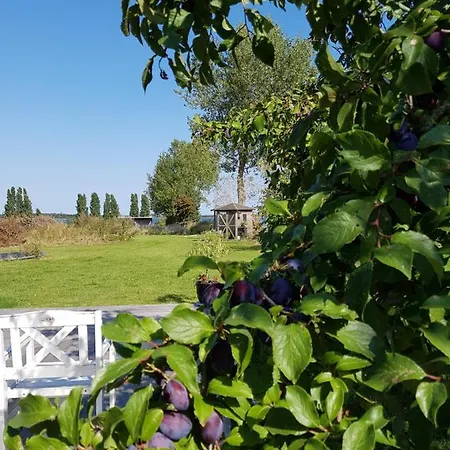 Villa Poolvilla 7 Bedrooms, 3 Bathrooms Marstal